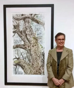 Gallery - Lisa Absher Gallery